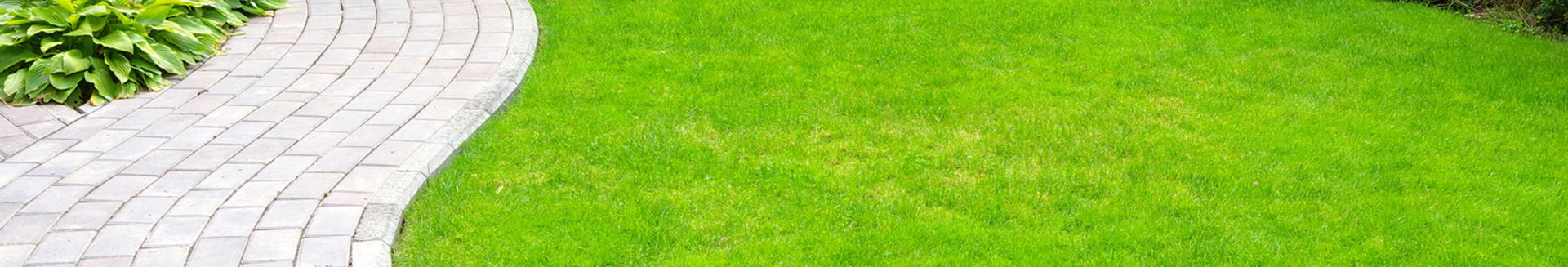 Lawn Care London Ontario